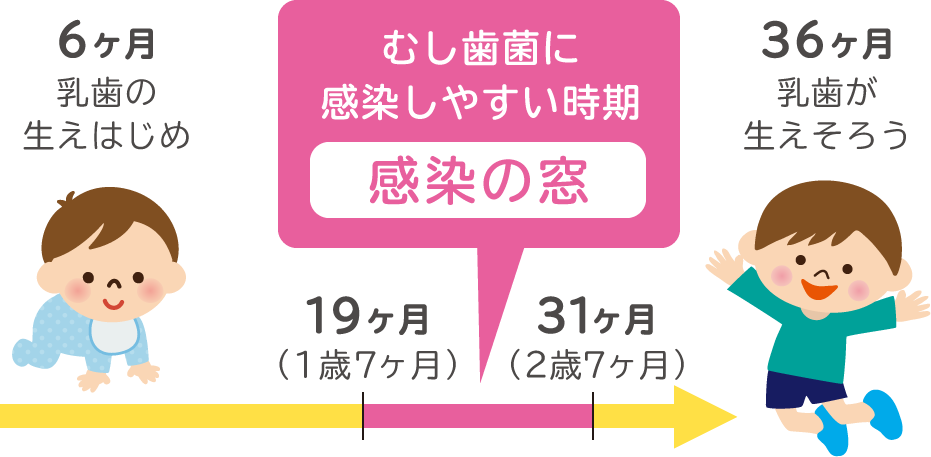ご家族の方がお子さまをむし歯菌から守るために
